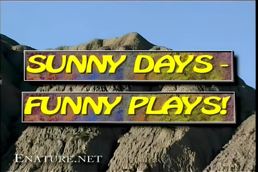 Enature - Sunny Days – Funny Plays - Nudity helps you understand yourself and the people around you better