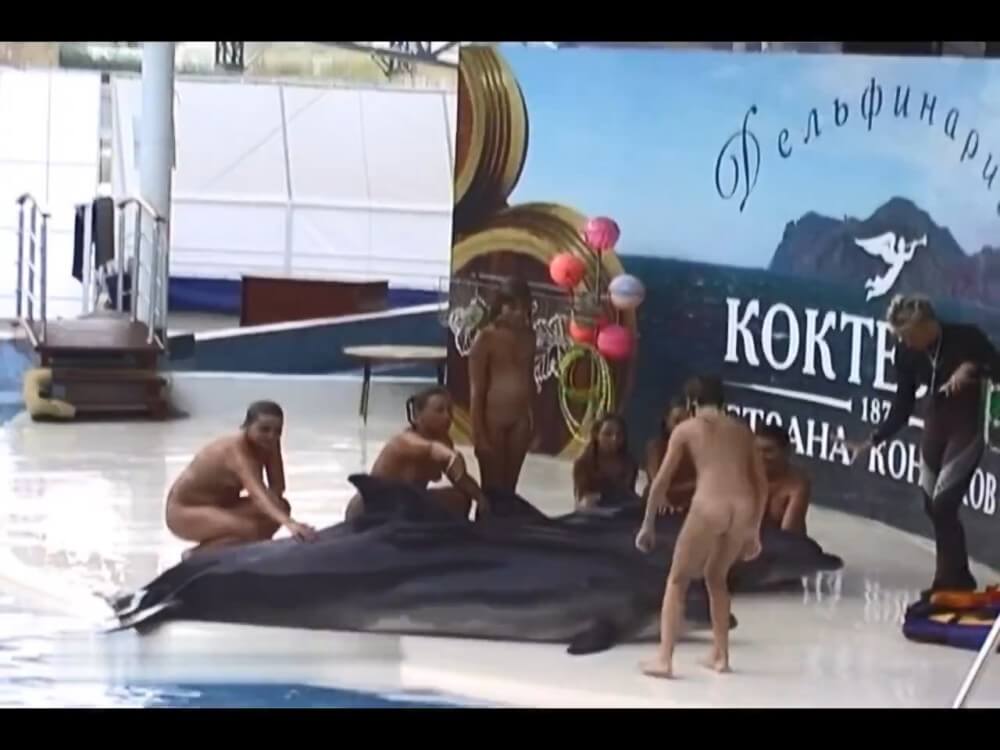 Relaxing at the dolphinarium - In nude recreation, harmony with nature and inner balance are important