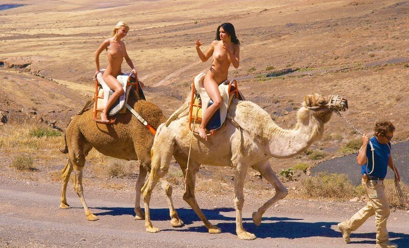 Funny Moments Life pics - The desire to admire the human form